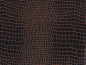 Preview: Tolex Tube-Town Brown Alligator