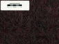 Preview: Tolex Tube-Town Western-Style Rotwein
