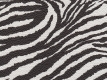 [to-tt-zeb] Tube-Town Zebra
