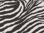 Tolex Tube-Town Zebra SAMPLE