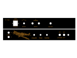 Faceplate for TT Amp-Kit Spit F. black / gold - rotated